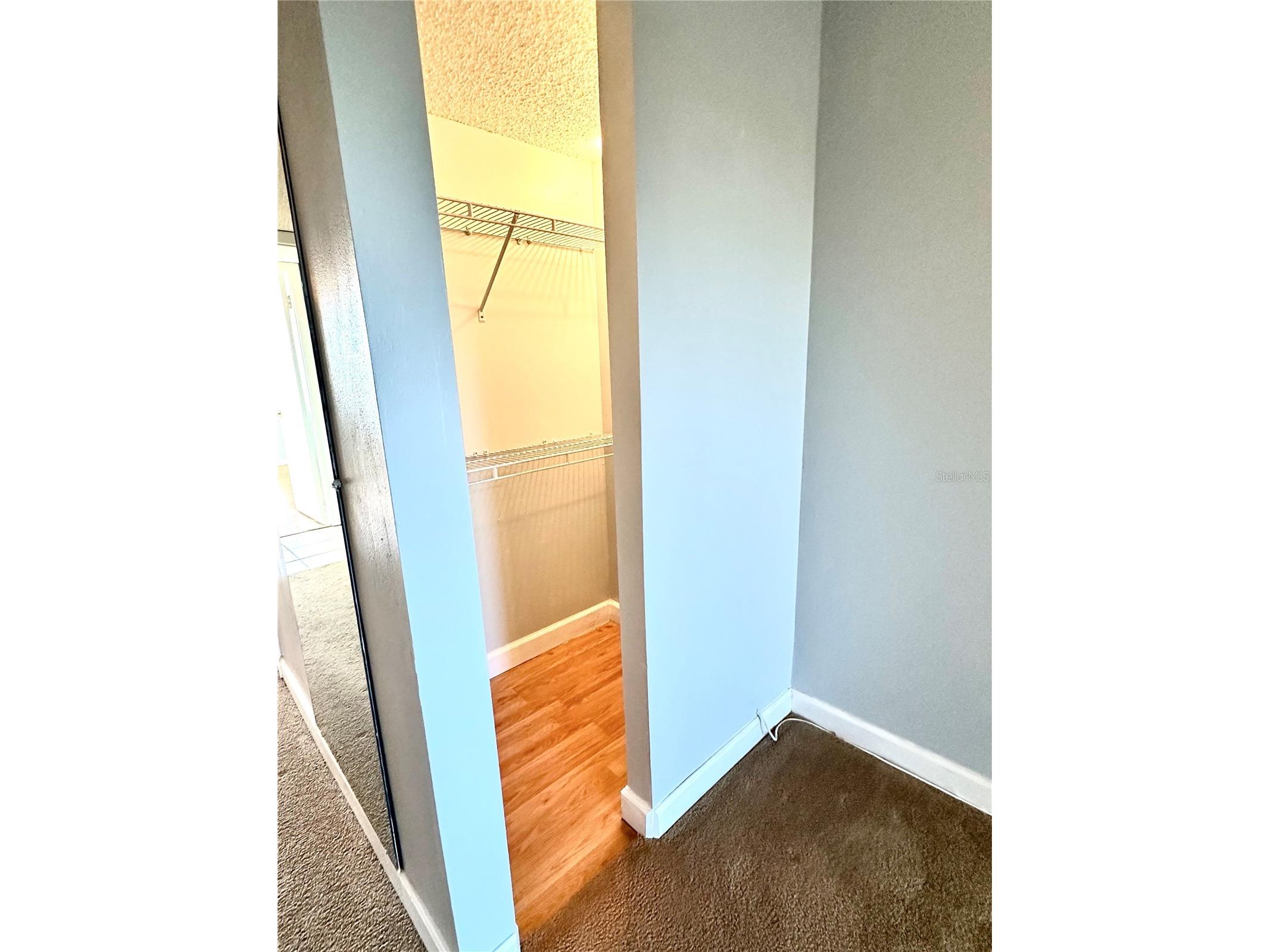 2800 Cove Cay Drive #1-6B Clearwater FL 33760 TB8475113 image11