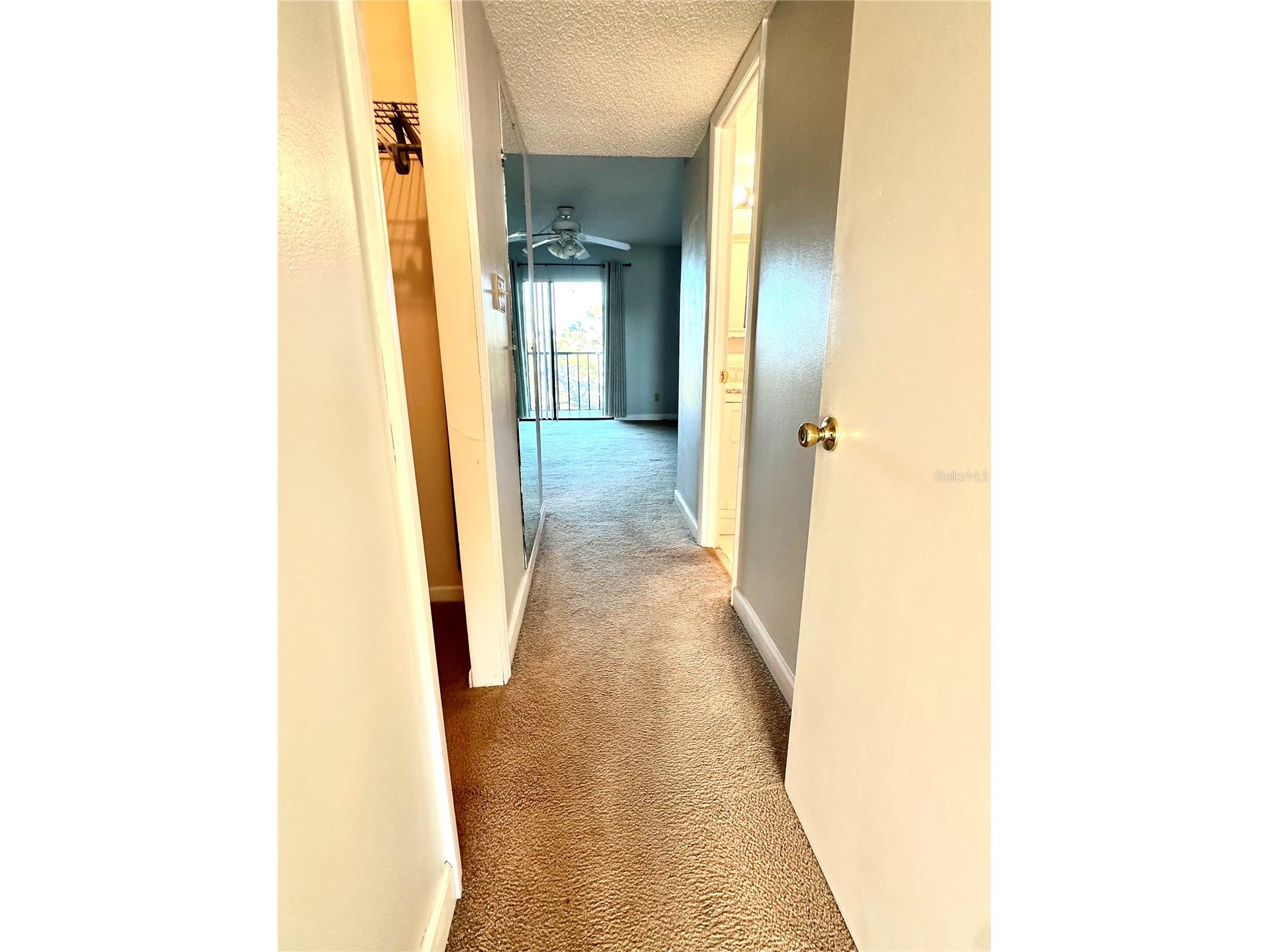 2800 Cove Cay Drive #1-6B Clearwater FL 33760 TB8475113 image4