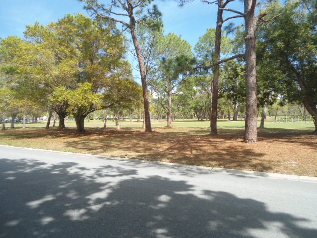 2800 Cove Cay Drive #4D Clearwater FL 33760 W7883645 image23