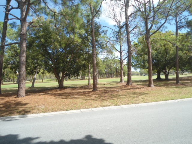 2800 Cove Cay Drive #4D Clearwater FL 33760 W7883645 image24