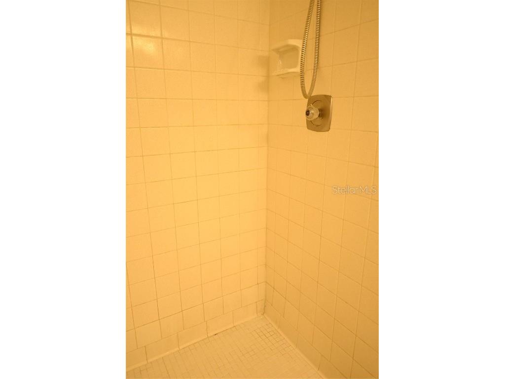 2800 Cove Cay Drive #5D Clearwater FL 33760 TB8413766 image13