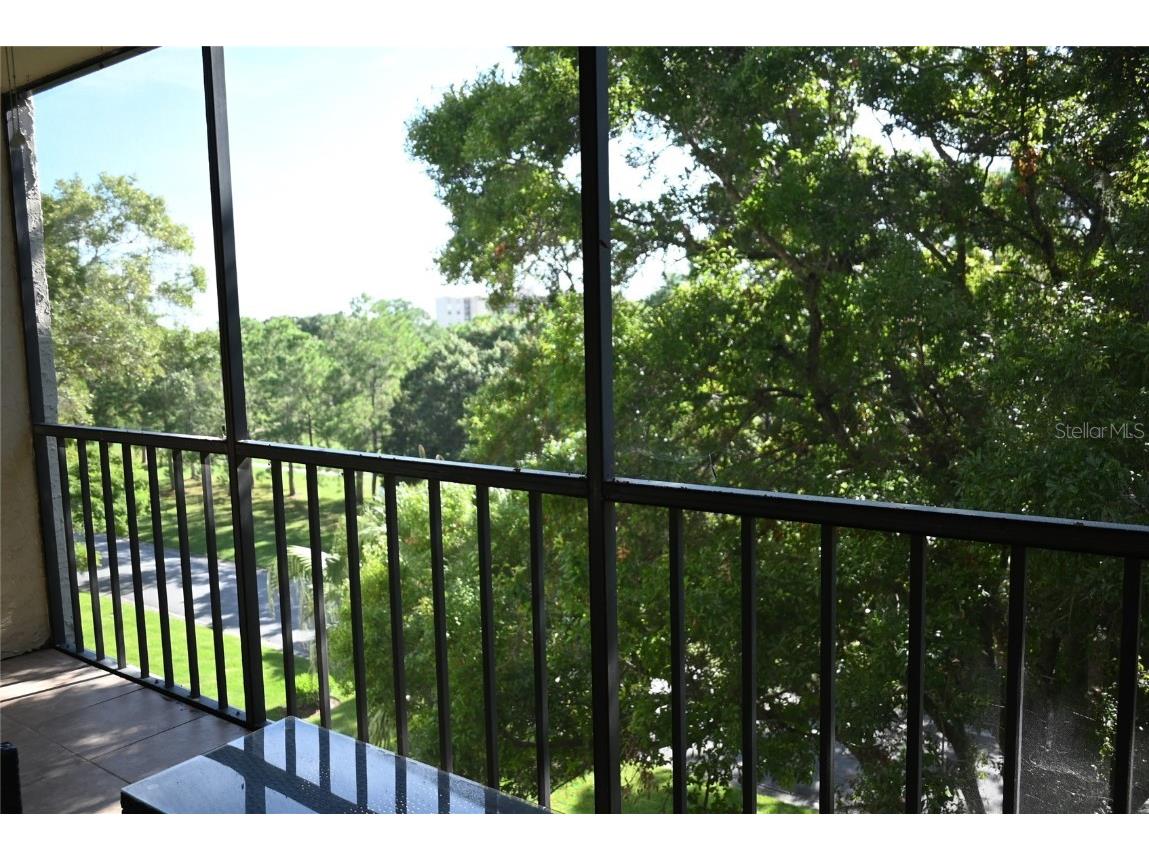 2800 Cove Cay Drive #5D Clearwater FL 33760 TB8413766 image14