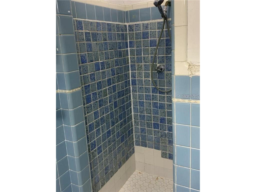 2800 Dartmouth Avenue N Saint Petersburg FL 33713 TB8368376 image36