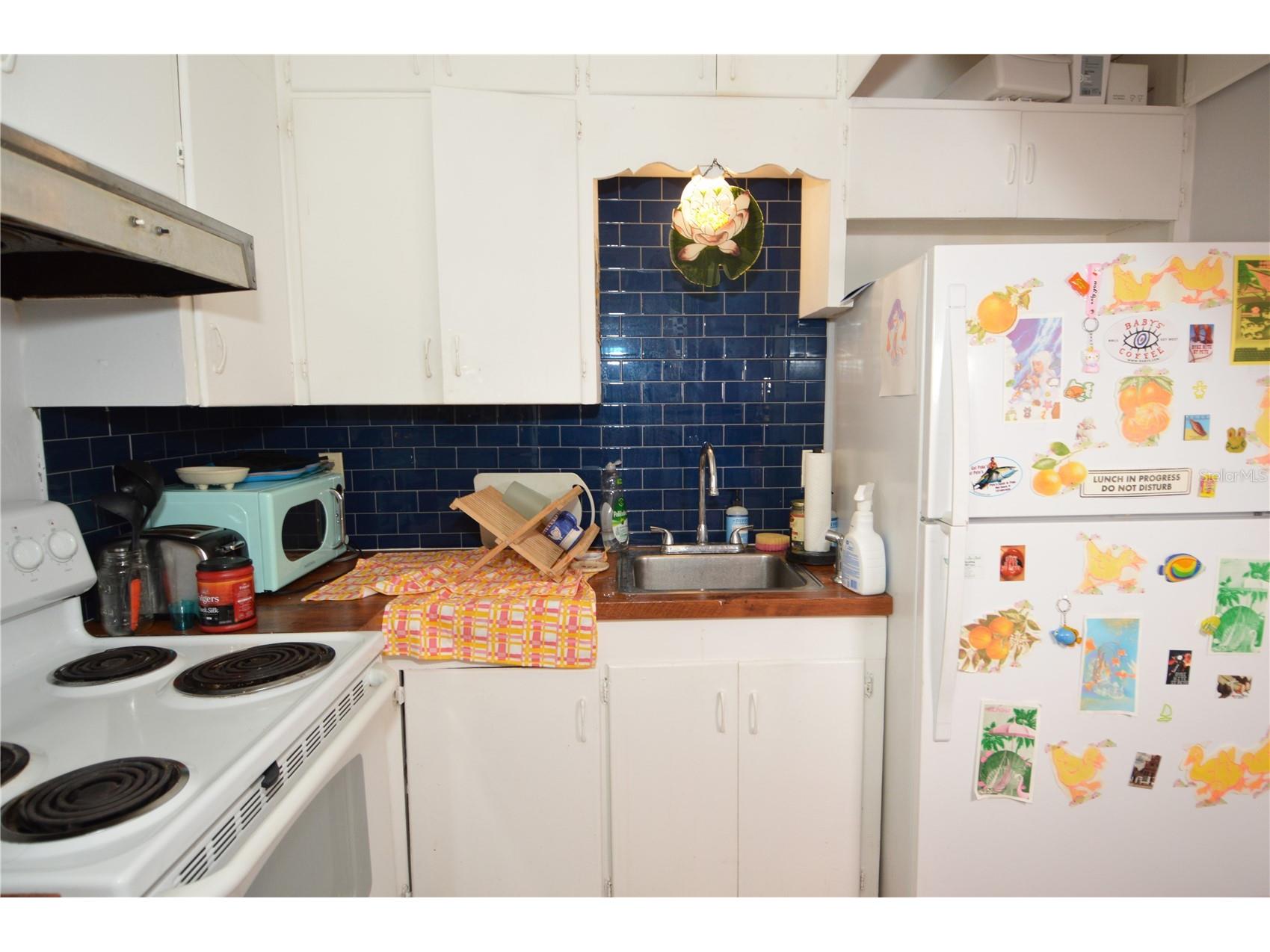 2800 Dartmouth Avenue N Saint Petersburg FL 33713 TB8493762 image30