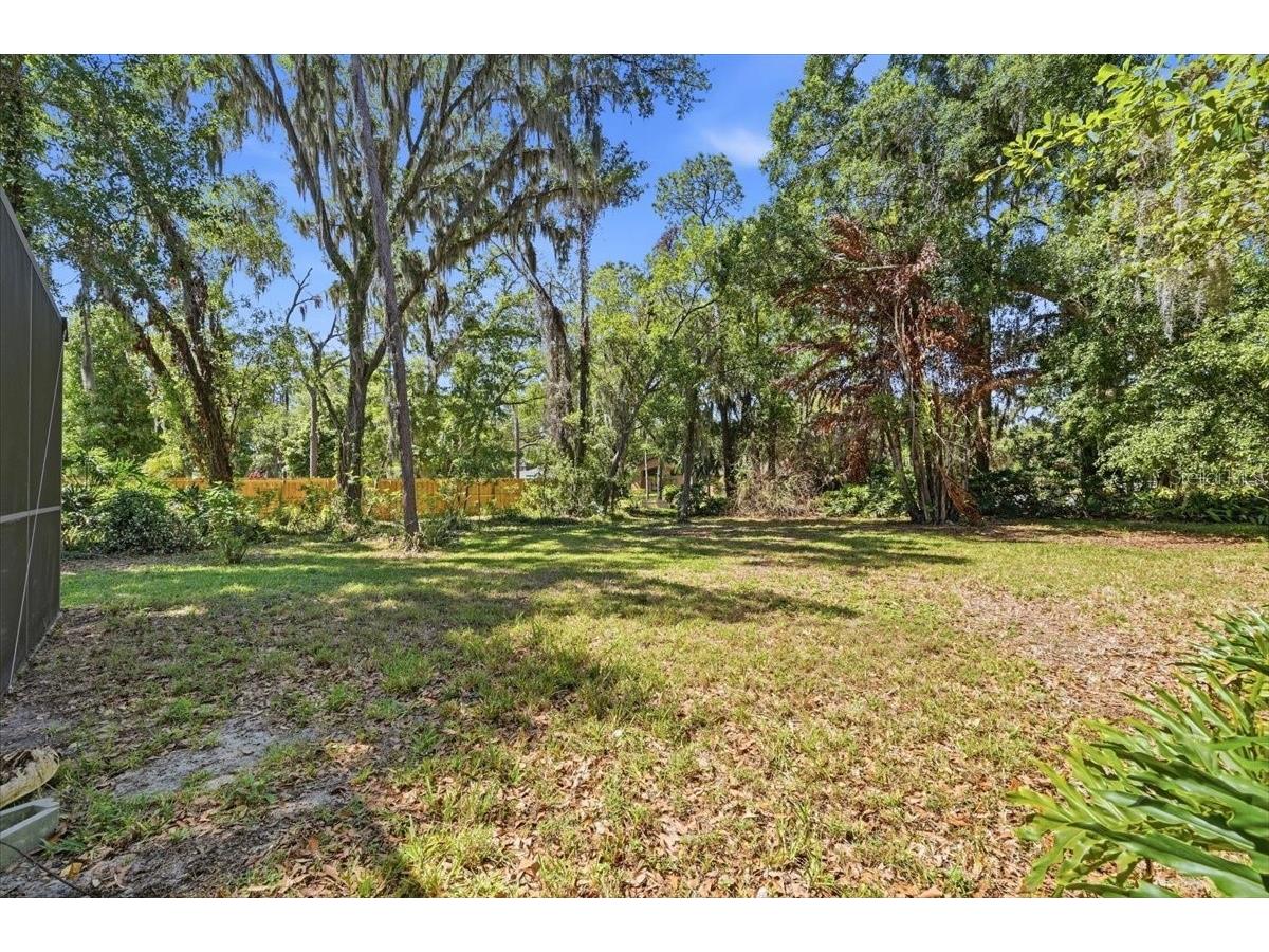 2800 Hammock Drive Plant City FL 33566 L4961290 image45