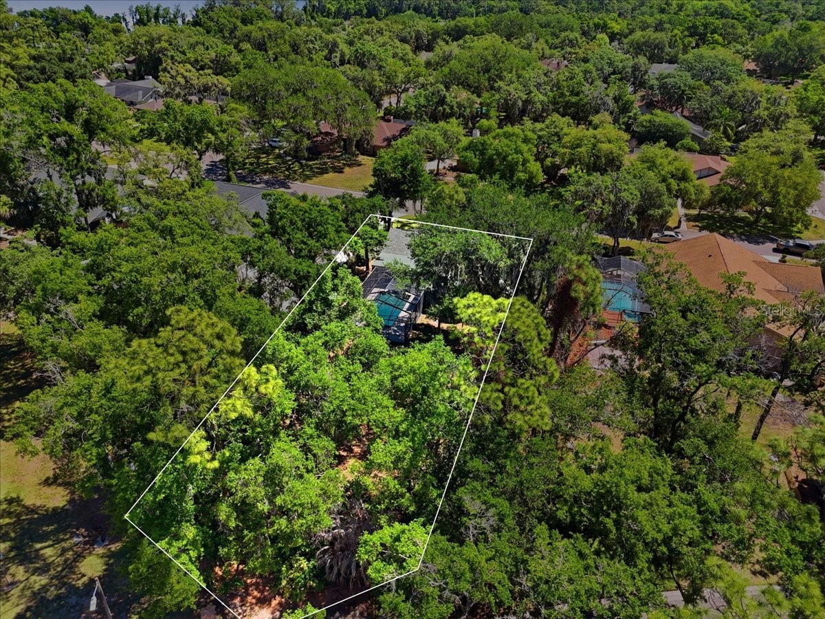 2800 Hammock Drive Plant City FL 33566 L4961290 image54