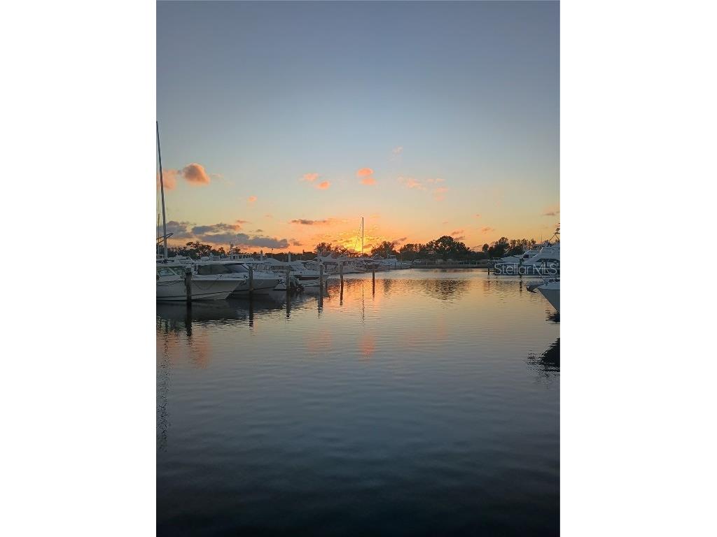 2800 Harbourside Drive #E-03 Longboat Key FL 34228 A4673211 image12