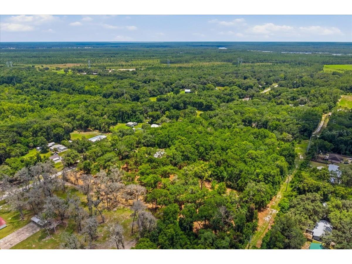 2800 Lundy Road Palatka FL 32177 FC319813 image13