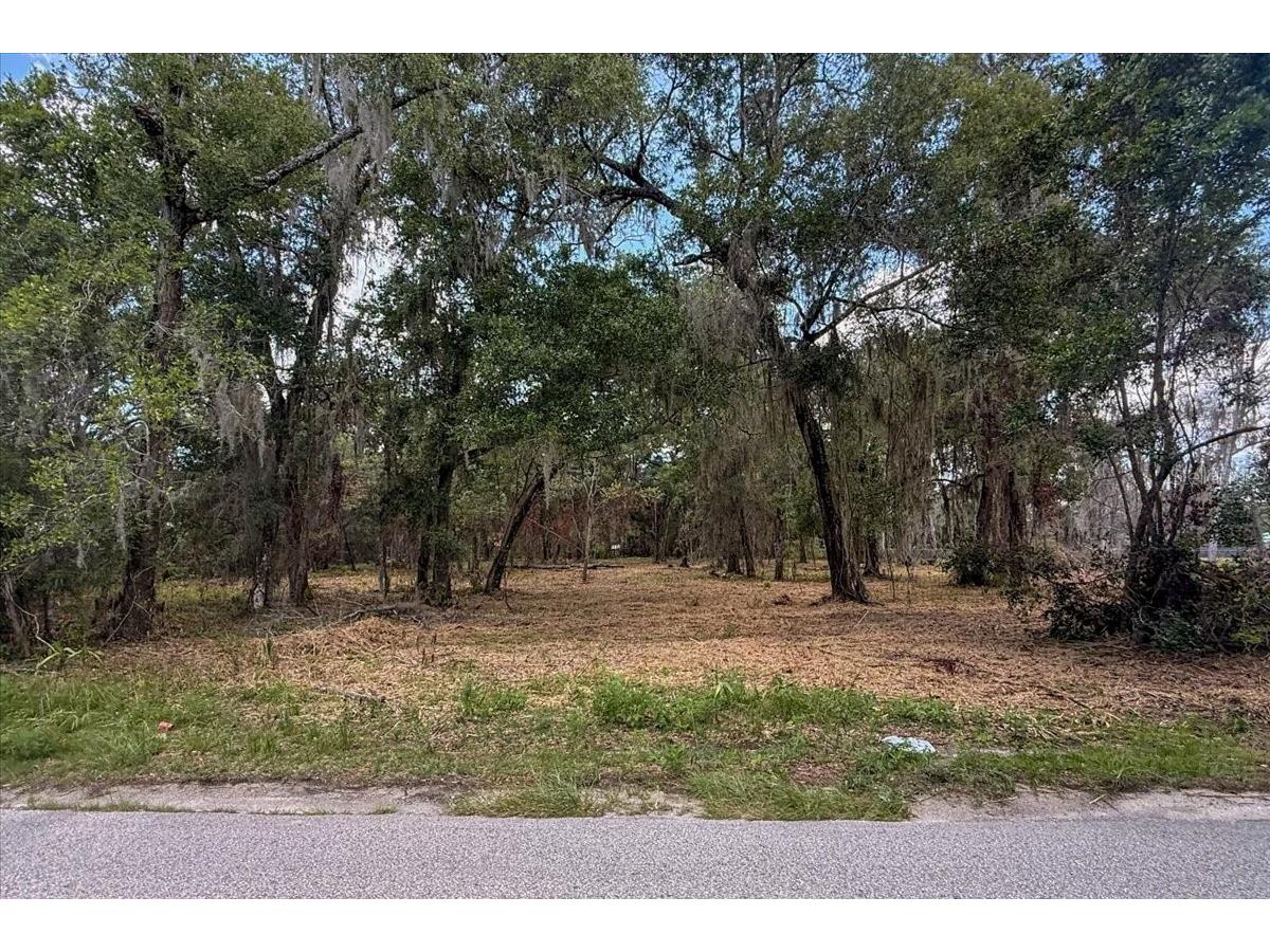 2800 Lundy Road Palatka FL 32177 FC319813 image2