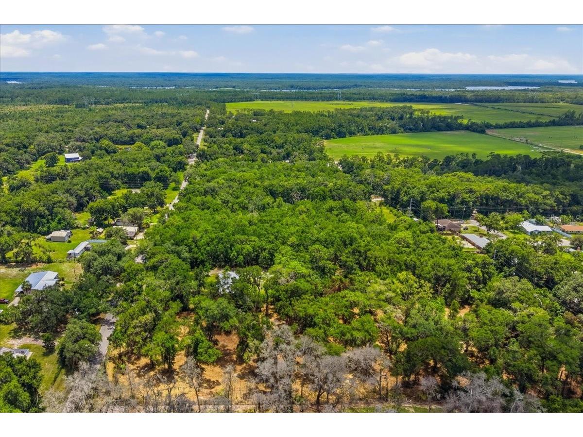 2800 Lundy Road Palatka FL 32177 FC319813 image9