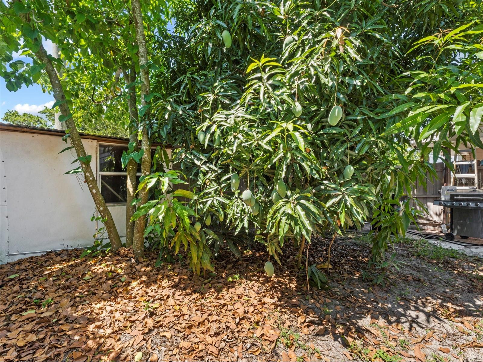 2800 Sunset Drive NW Winter Haven FL 33881 P4935252 image13