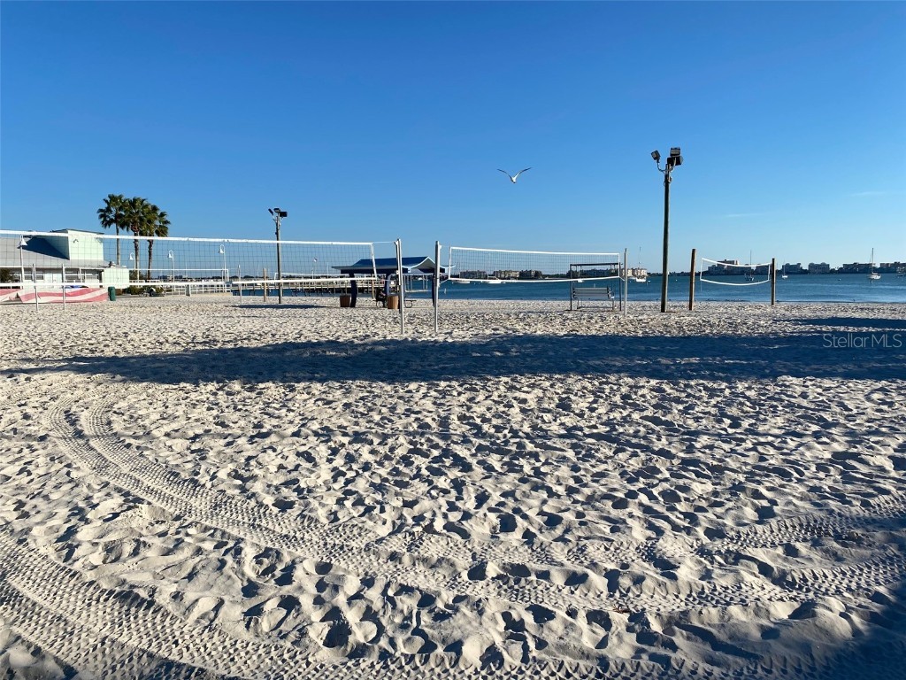 2800 Tifton St #3 Gulfport FL 33711 TB8442580 image11