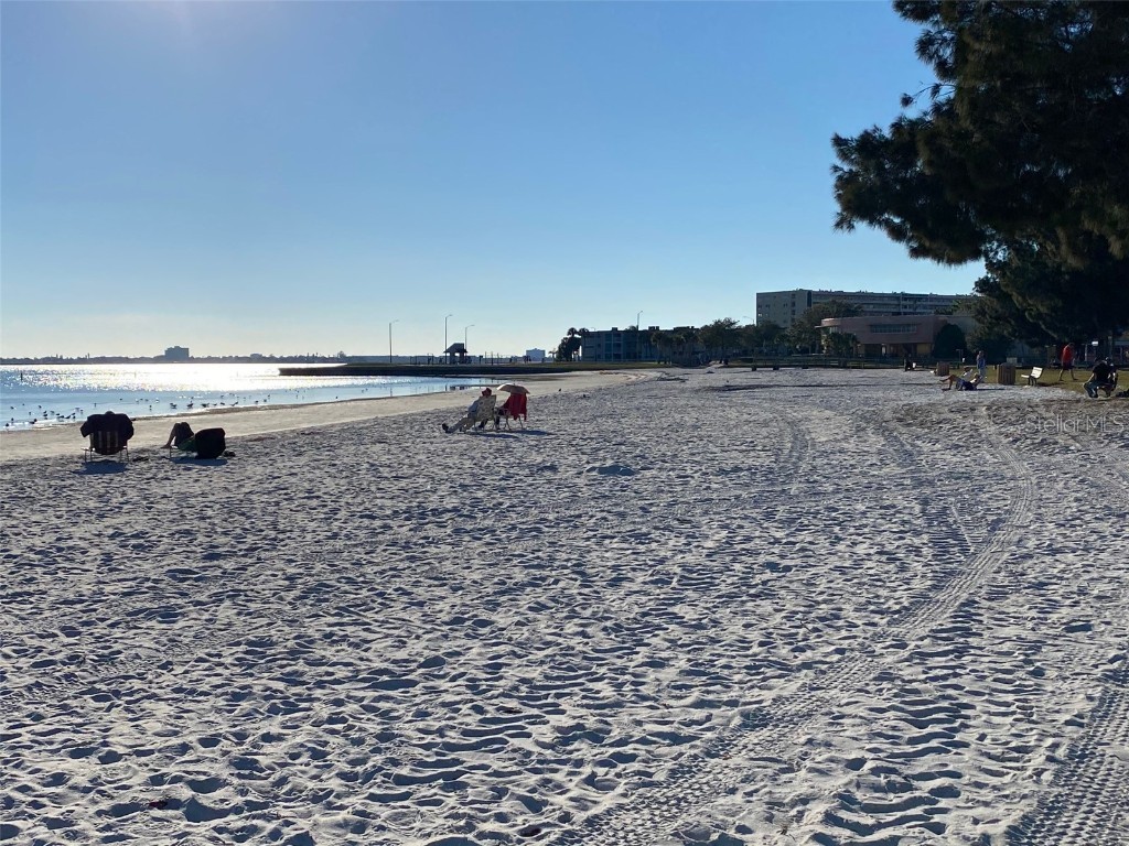 2800 Tifton St #3 Gulfport FL 33711 TB8442580 image15