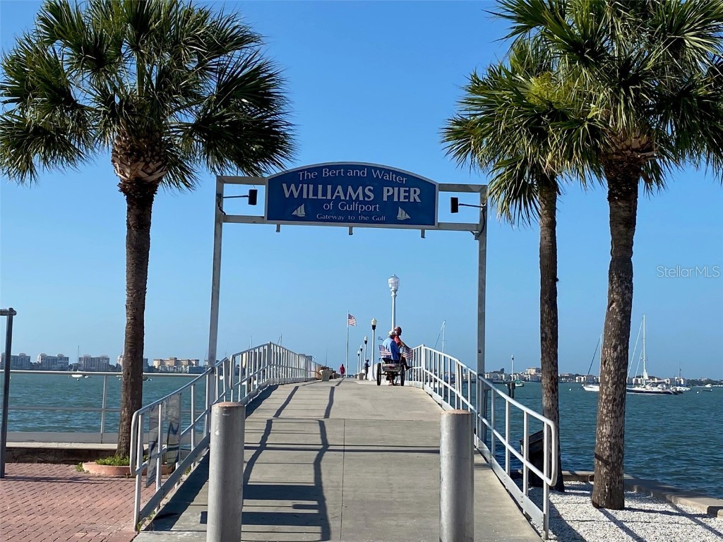 2800 Tifton St #3 Gulfport FL 33711 TB8442580 image26