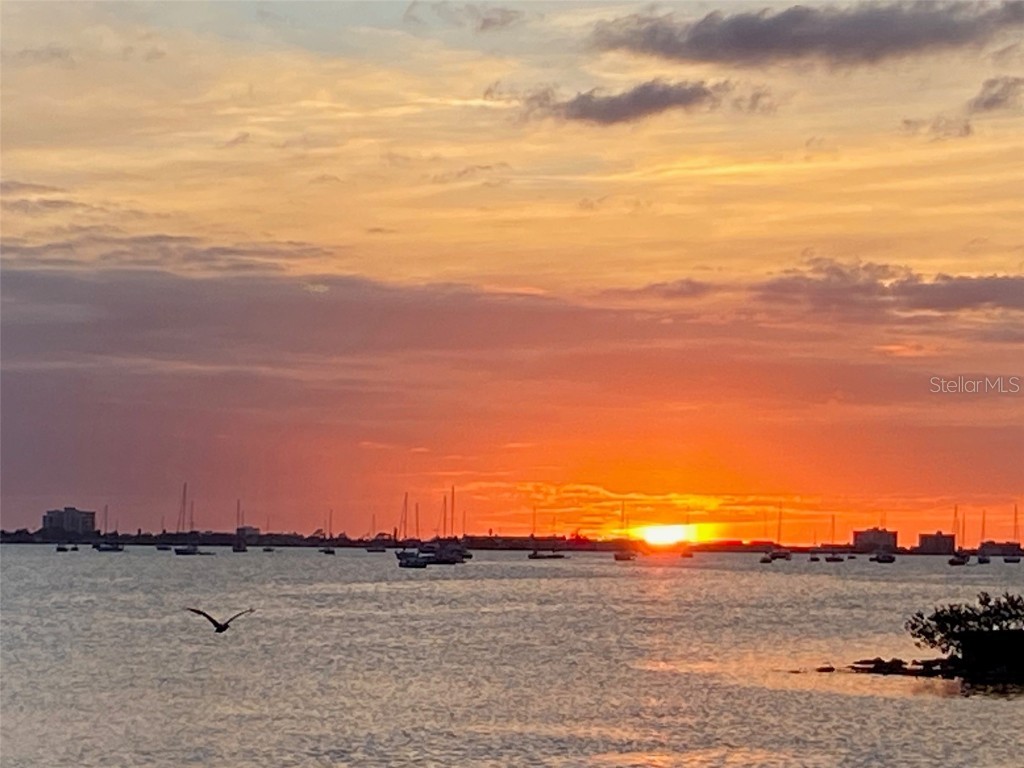 2800 Tifton Street S Gulfport FL 33711 - BOCA CIEGA BAY TB8412107 image25