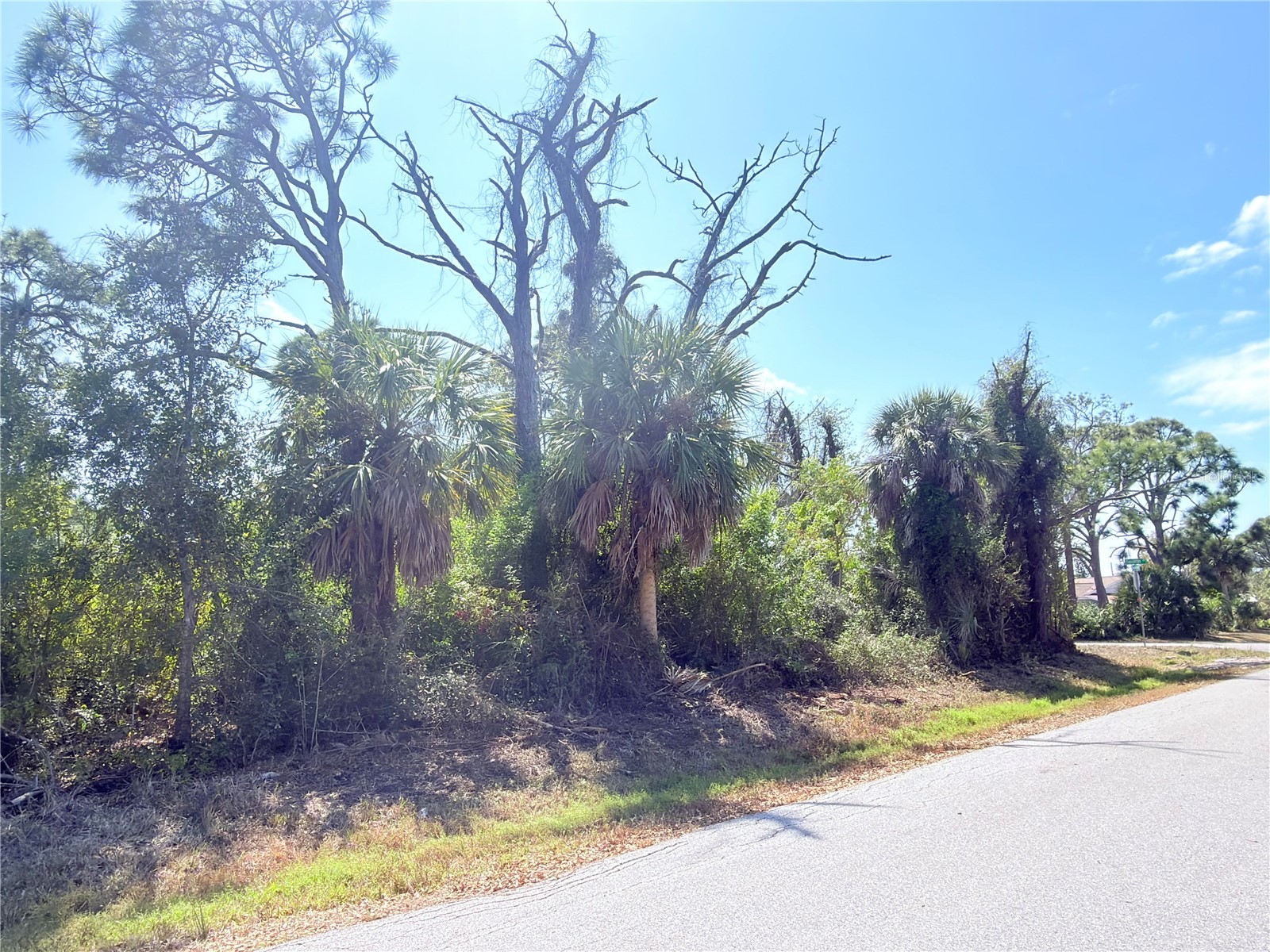 2801 12th Street Englewood FL 34224 D6146386 image4