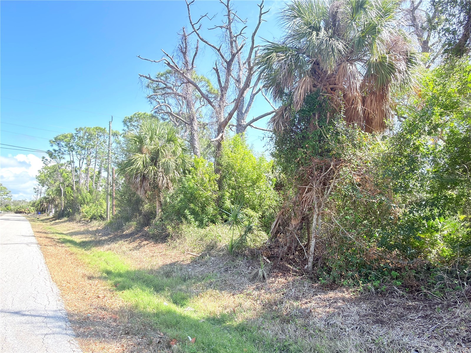 2801 12th Street Englewood FL 34224 D6146386 image5