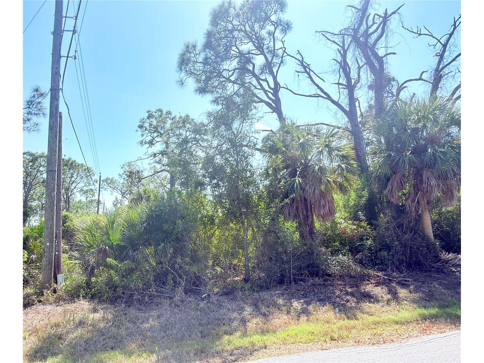 2801 12th Street Englewood FL 34224 D6146386 image6