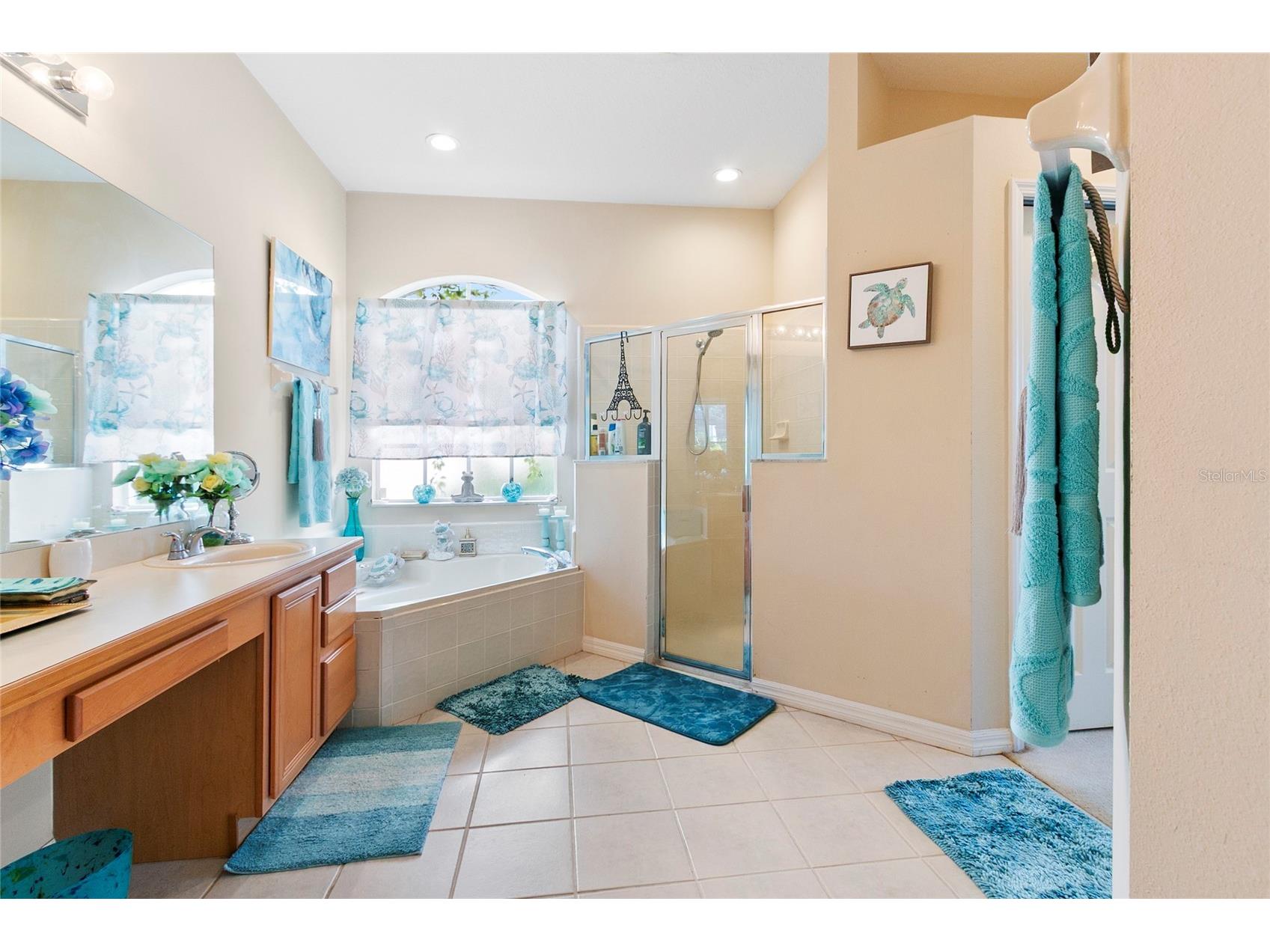 2801 Baywood Lane Kissimmee FL 34746 S5137135 image22