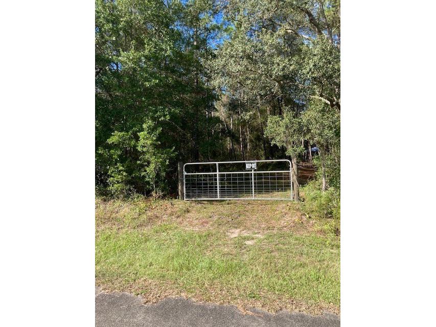 2801 E Possum Court #118 Inverness FL 34452 T3540023 image1