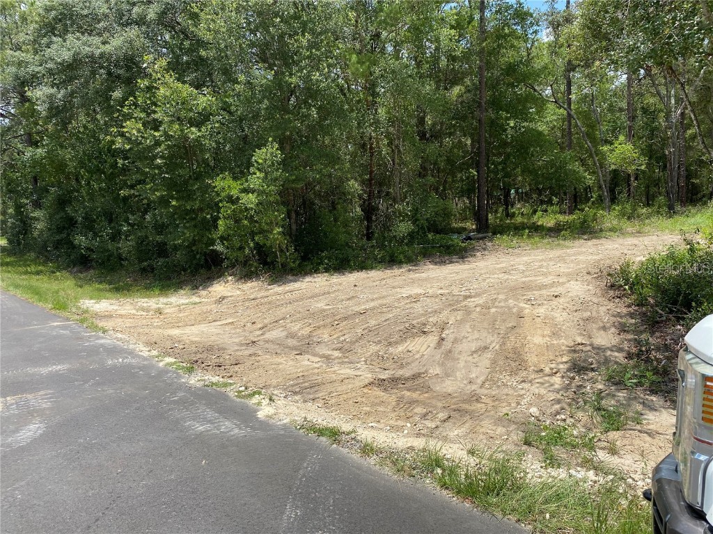 2801 E Possum Court #118 Inverness FL 34452 S5139468 image3