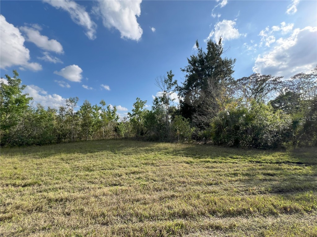 2801 Eunice Avenue Orlando FL 32808 O6185981 image11