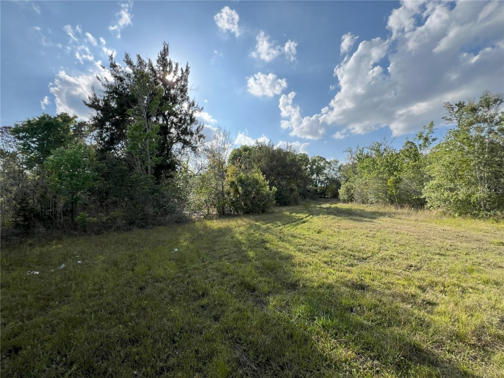 2801 Eunice Avenue Orlando FL 32808 O6185981 image12