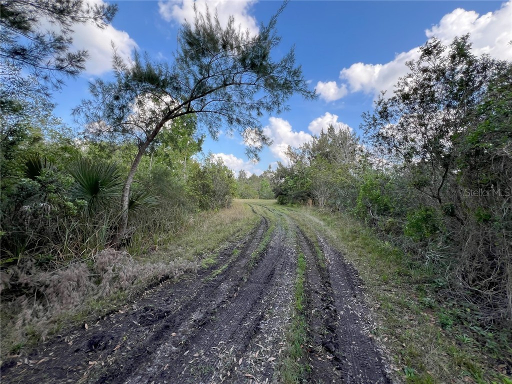 2801 Eunice Avenue Orlando FL 32808 O6185981 image15