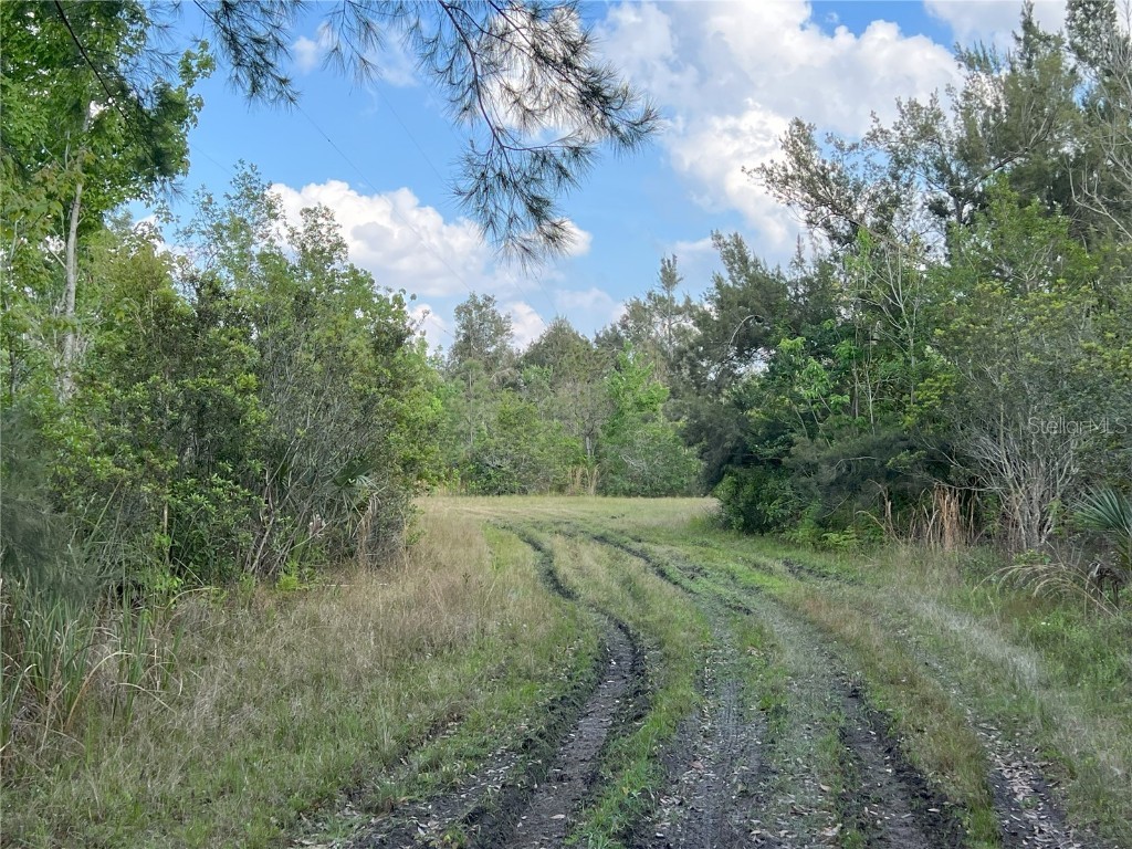 2801 Eunice Avenue Orlando FL 32808 O6185981 image16