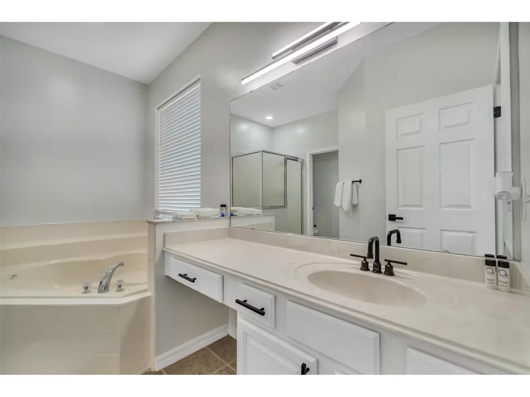 2801 Lido Key Court Kissimmee FL 34747 O6404999 image10