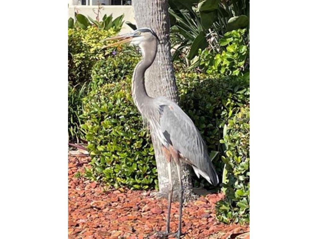 2801 N Halifax Avenue #146 Daytona Beach FL 32118 - HALIFAX RIVER V4944463 image32