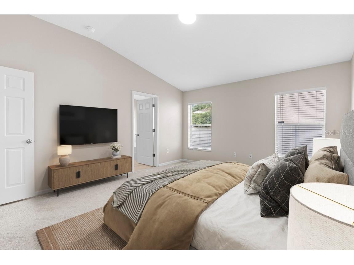 2801 Queen Alberta Drive Valrico FL 33596 TB8440305 image11