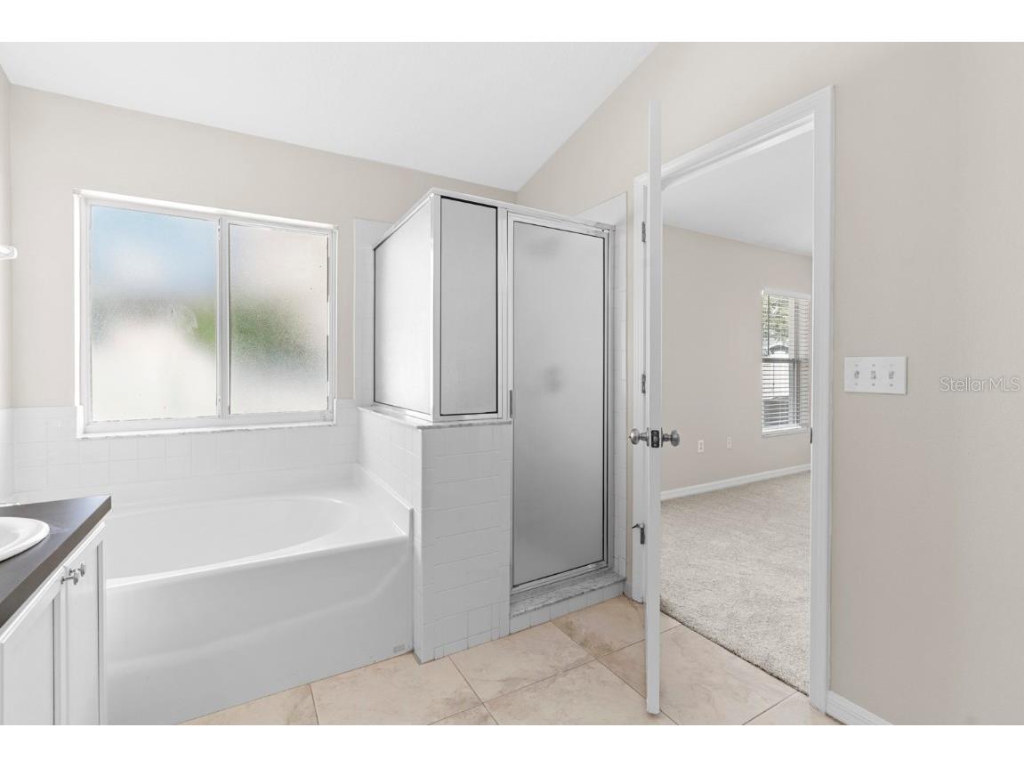 2801 Queen Alberta Drive Valrico FL 33596 TB8440305 image17