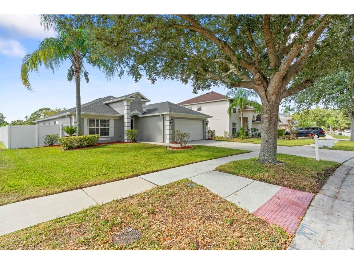 2801 Queen Alberta Drive Valrico FL 33596 TB8440305 image37