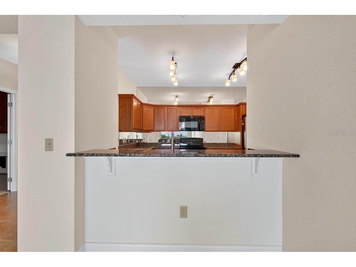2801 S Ridgewood Avenue #504 South Daytona FL 32119 V4950391 image47