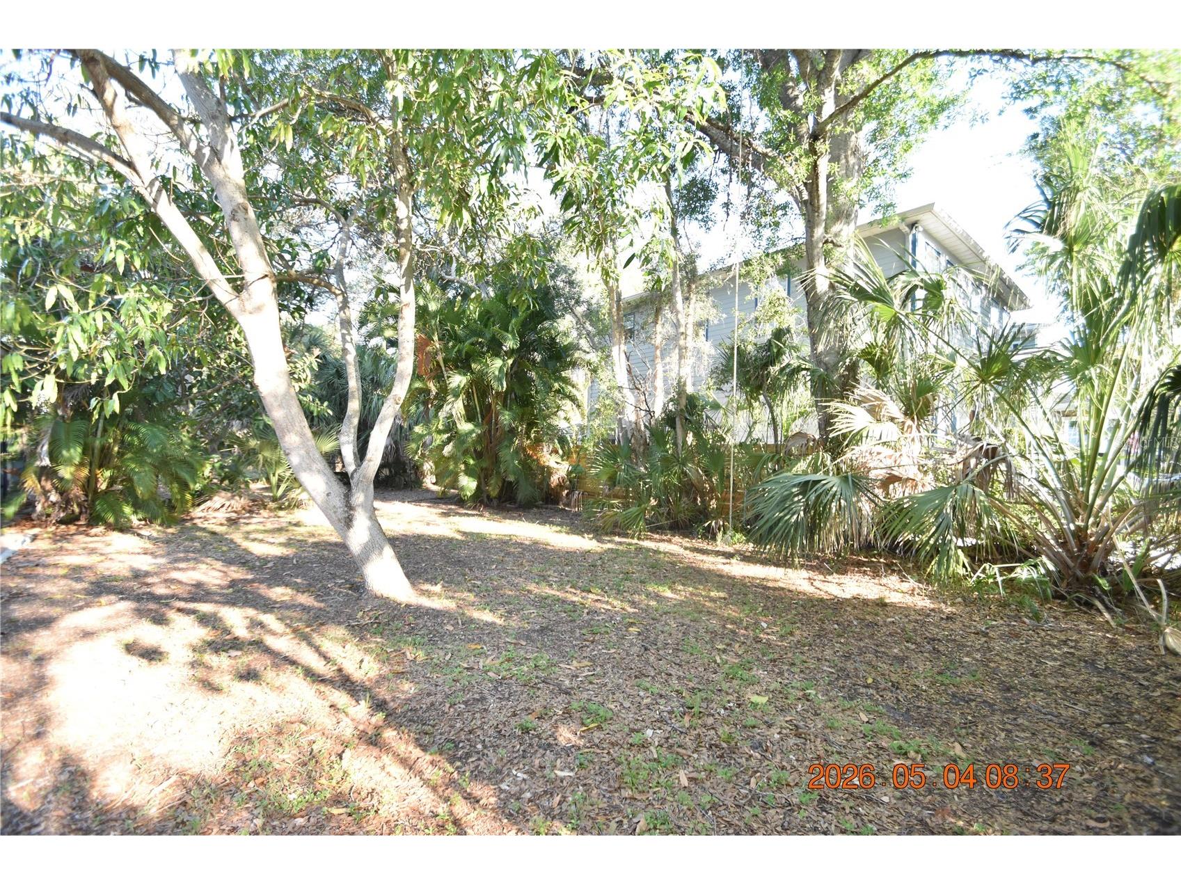 2801 Sanders Drive Tampa FL 33611 TB8504034 image37