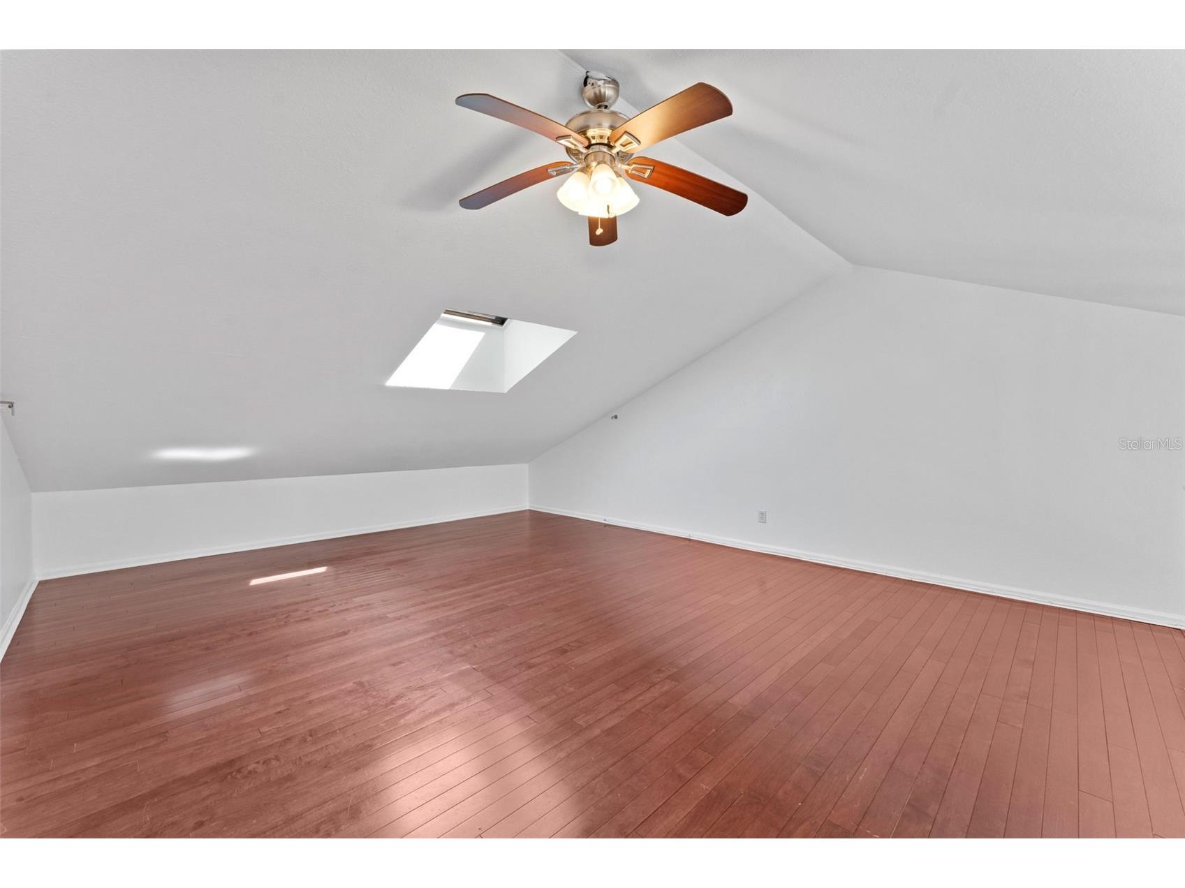 2801 W Platt Street Tampa FL 33609 TB8487007 image21