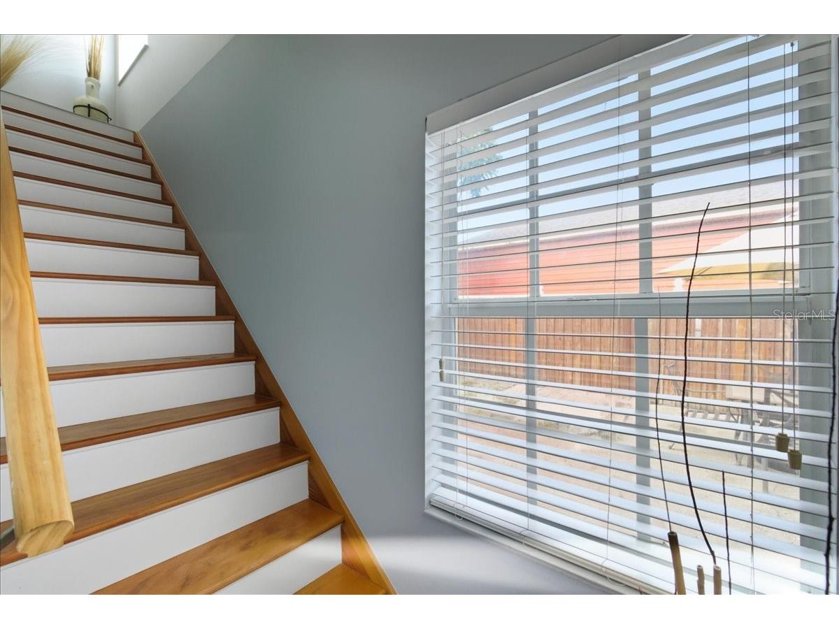 2801 W San Isidro Street Tampa FL 33629 A4676537 image25