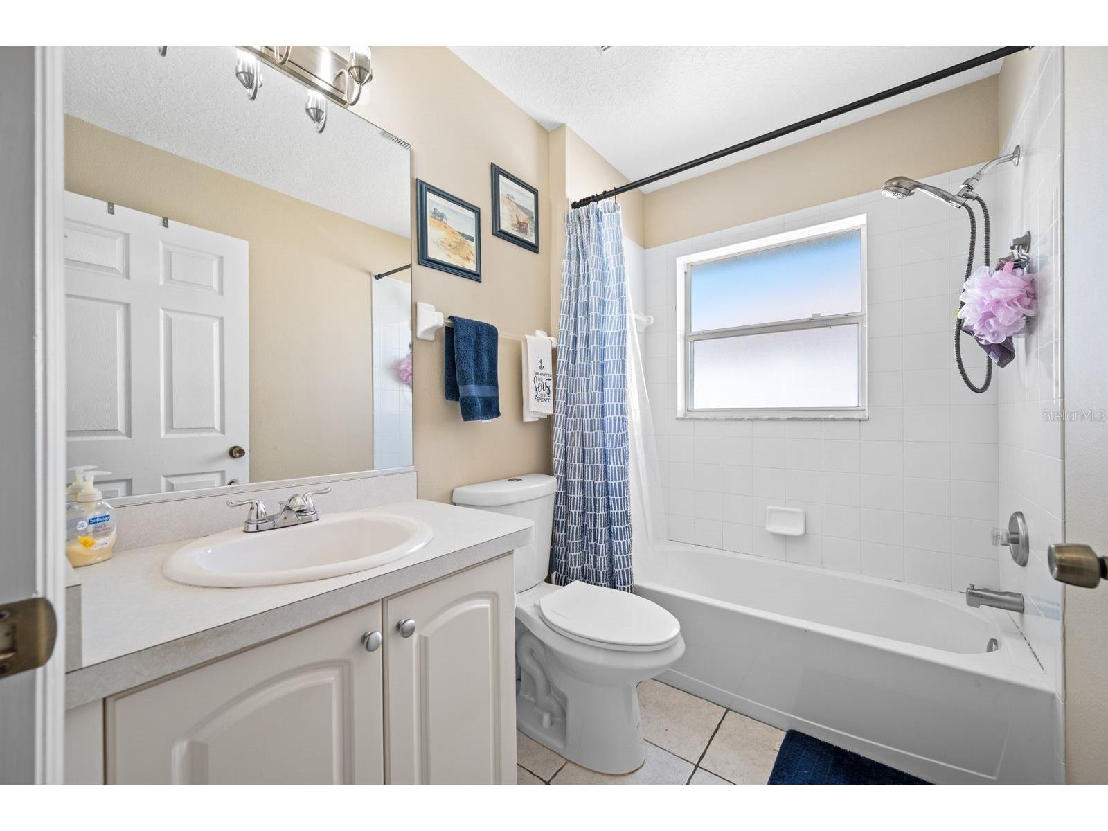 2802 93rd Court E Palmetto FL 34221 A4694131 image23