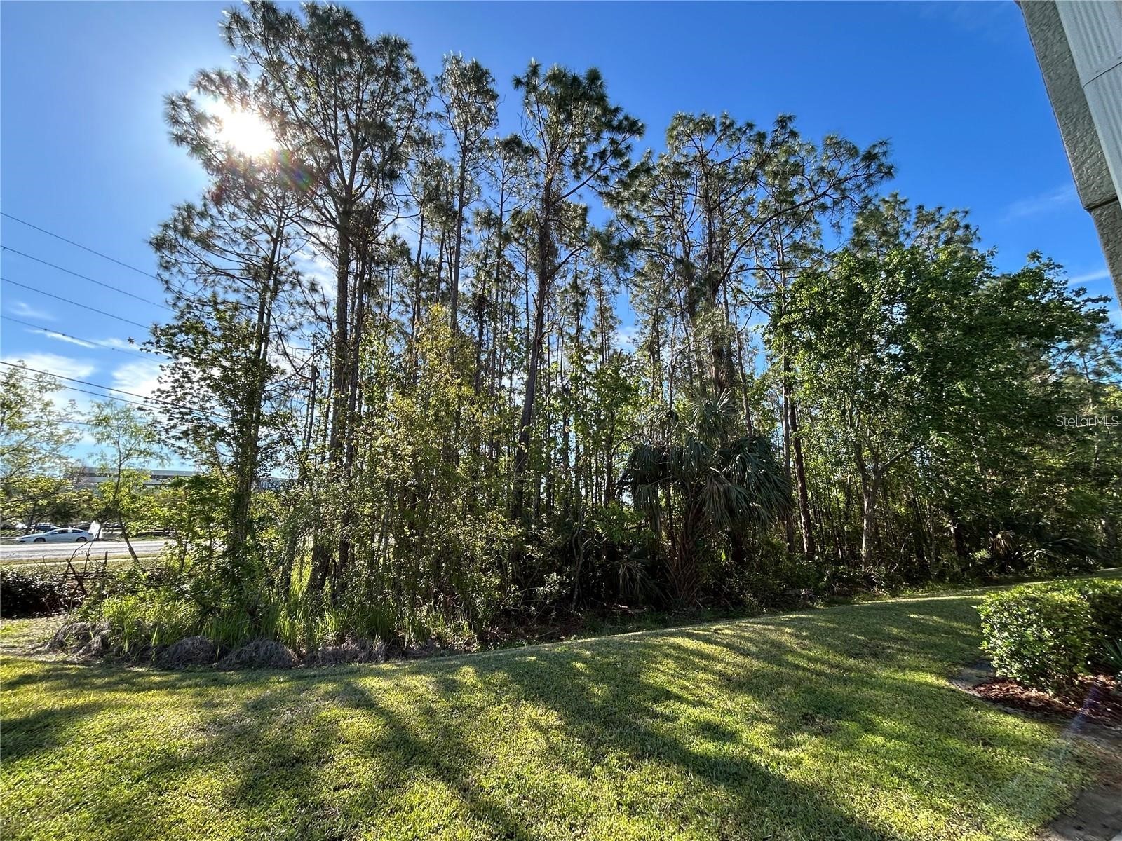 2802 Birchcreek Drive Wesley Chapel FL 33544 TB8525011 image20