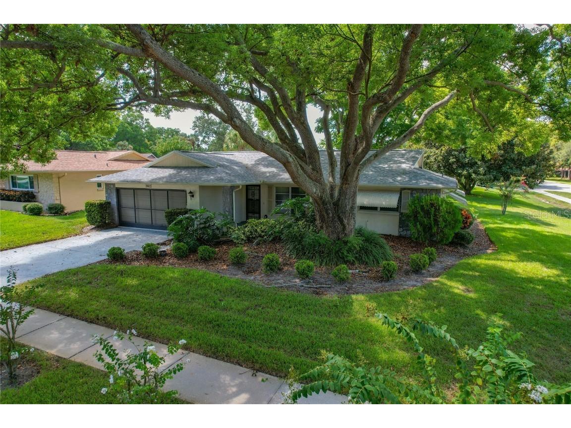 2802 Cameron Court Palm Harbor FL 34684 U8209994 image1