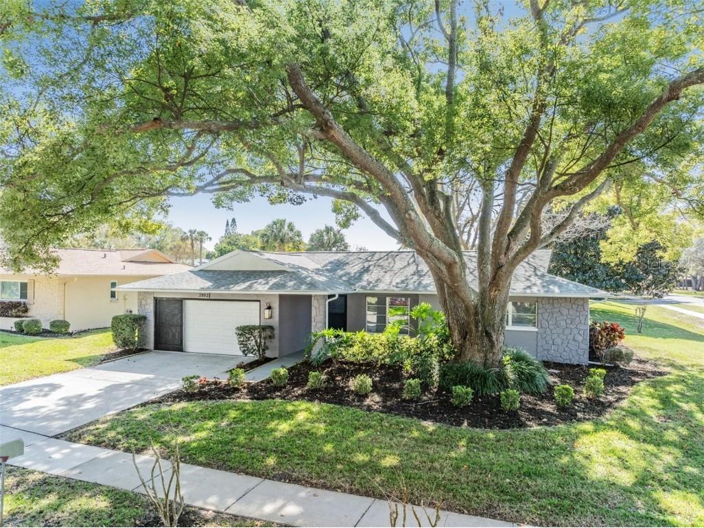 2802 Cameron Court Palm Harbor FL 34684 - LAKE TARPON U8229233 image1