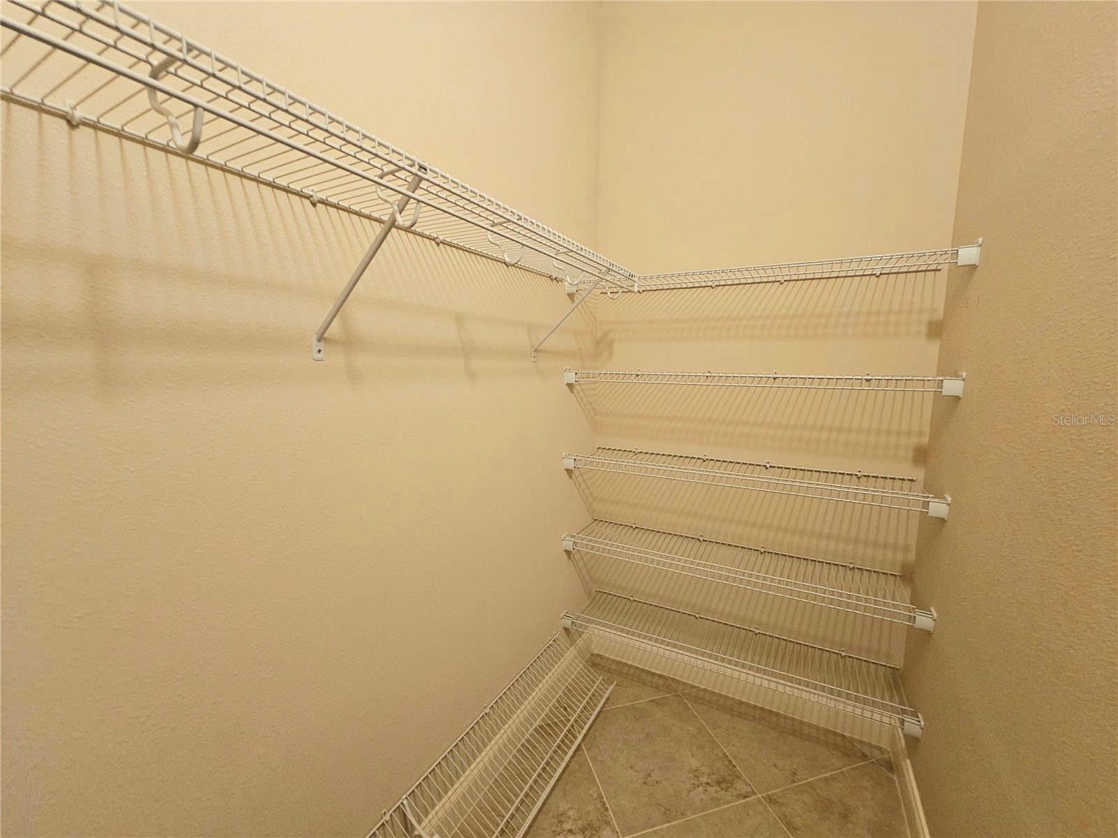 2802 Devonoak Boulevard Land O Lakes FL 34638 TB8403559 image21