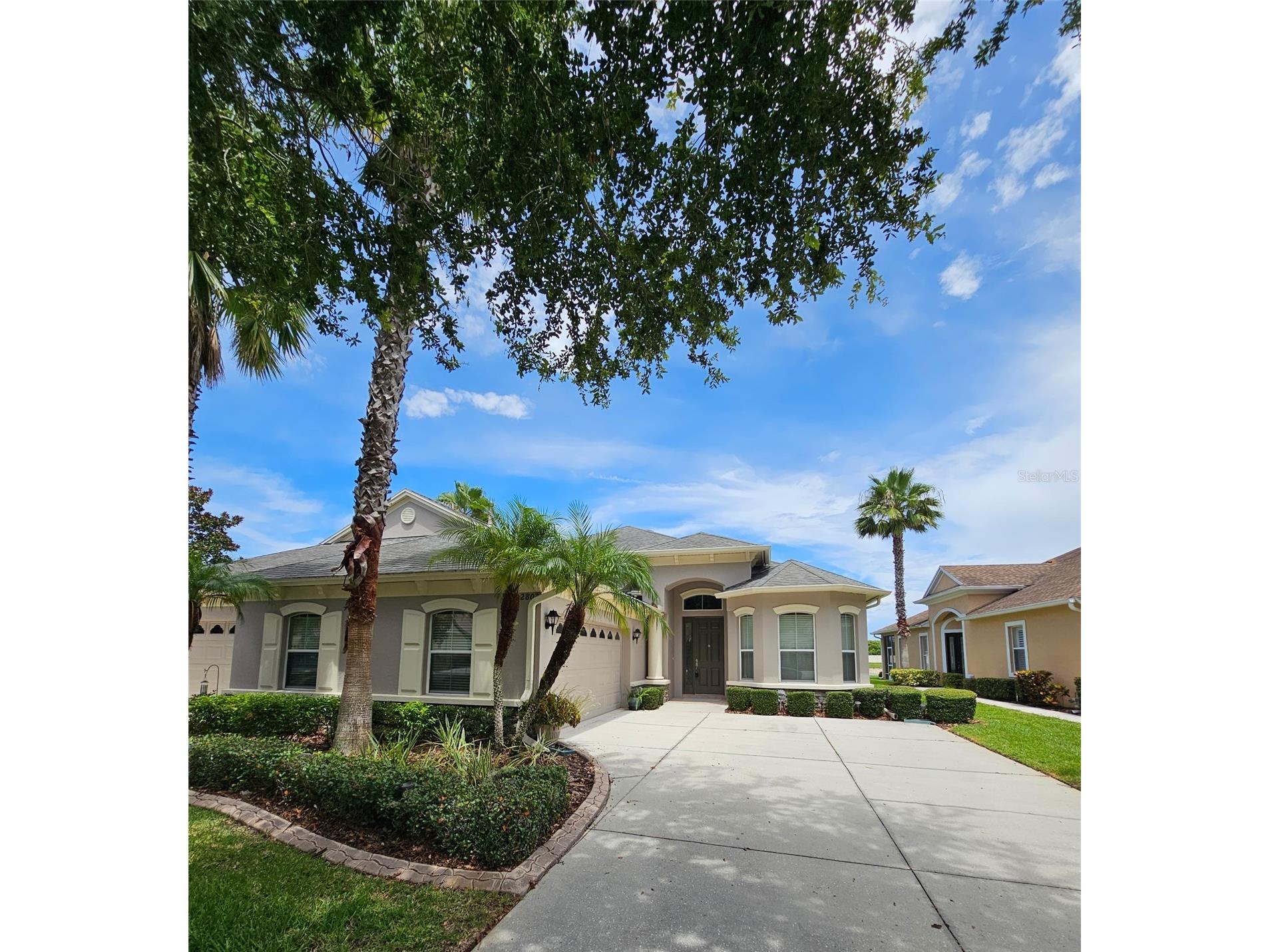 2802 Devonoak Boulevard Land O Lakes FL 34638 TB8403559 image3