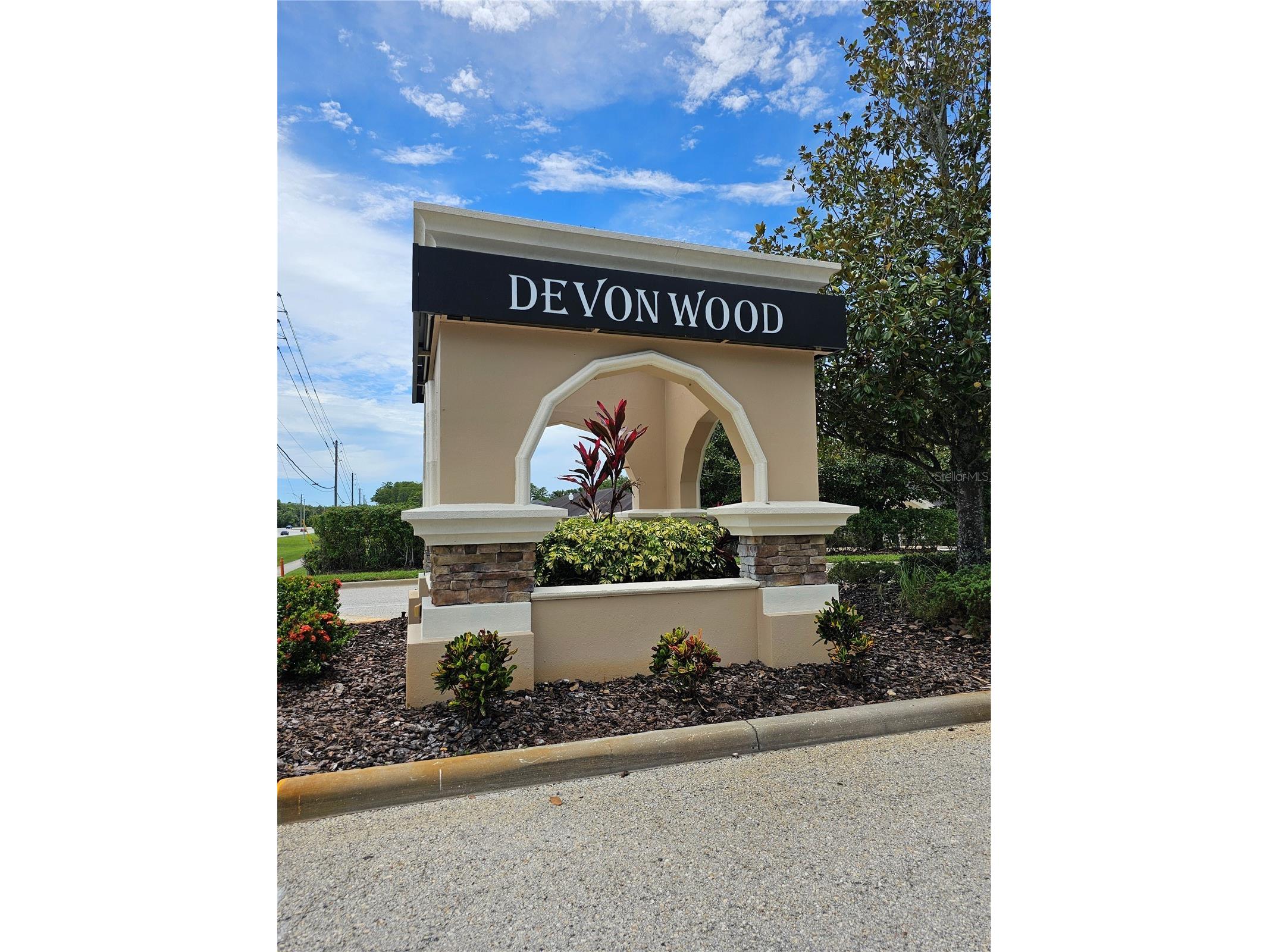2802 Devonoak Boulevard Land O Lakes FL 34638 TB8403559 image41