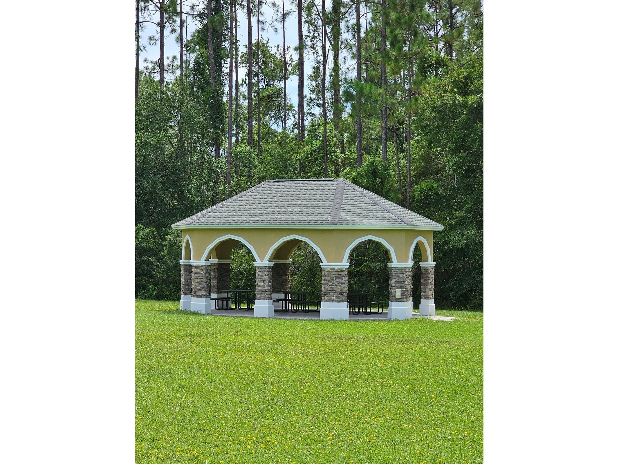 2802 Devonoak Boulevard Land O Lakes FL 34638 TB8403559 image42