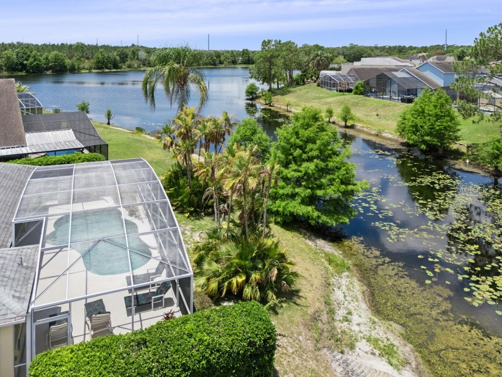 2802 Drifting Lilly Loop Kissimmee FL 34747 O6415175 image5