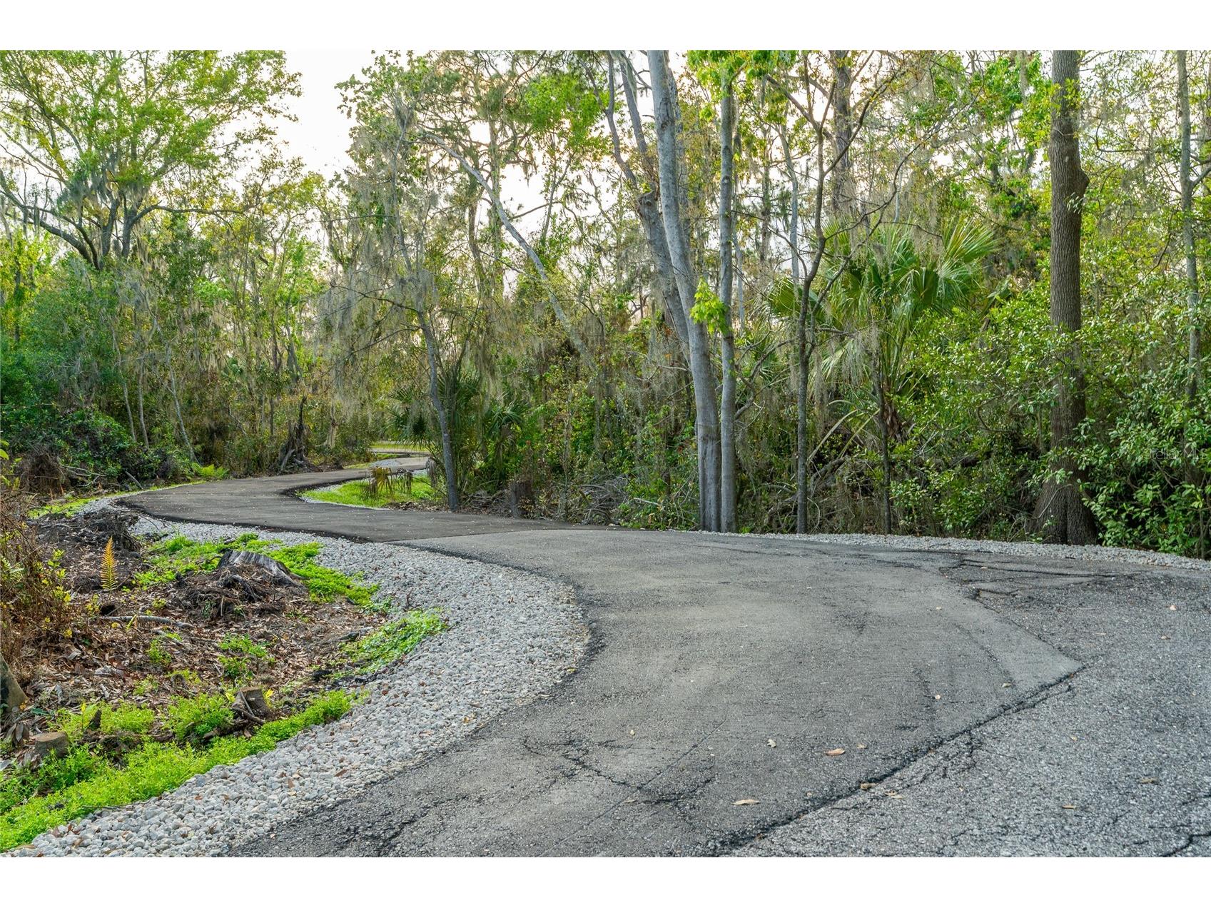 2802 Hammock Drive Plant City FL 33566 TB8487883 image75