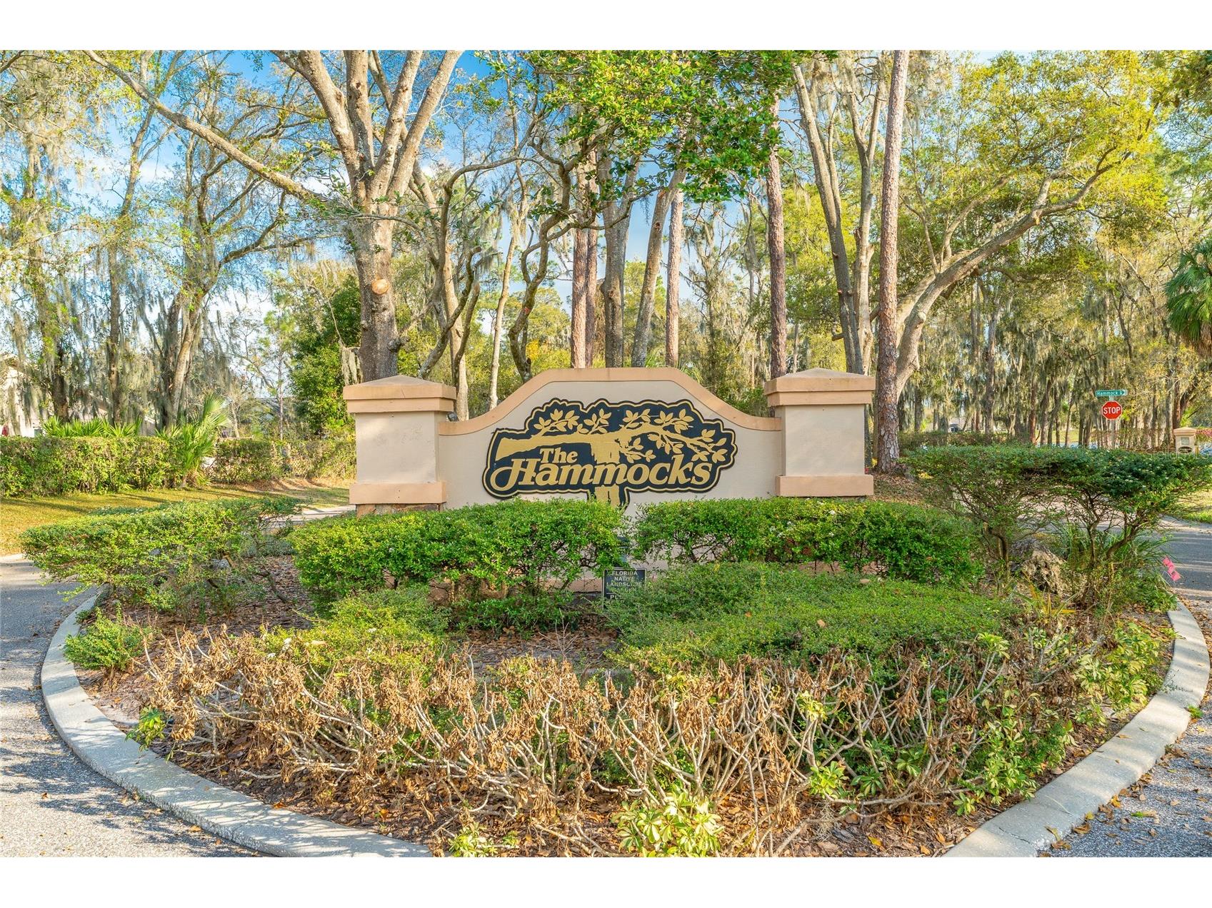 2802 Hammock Drive Plant City FL 33566 TB8487883 image76