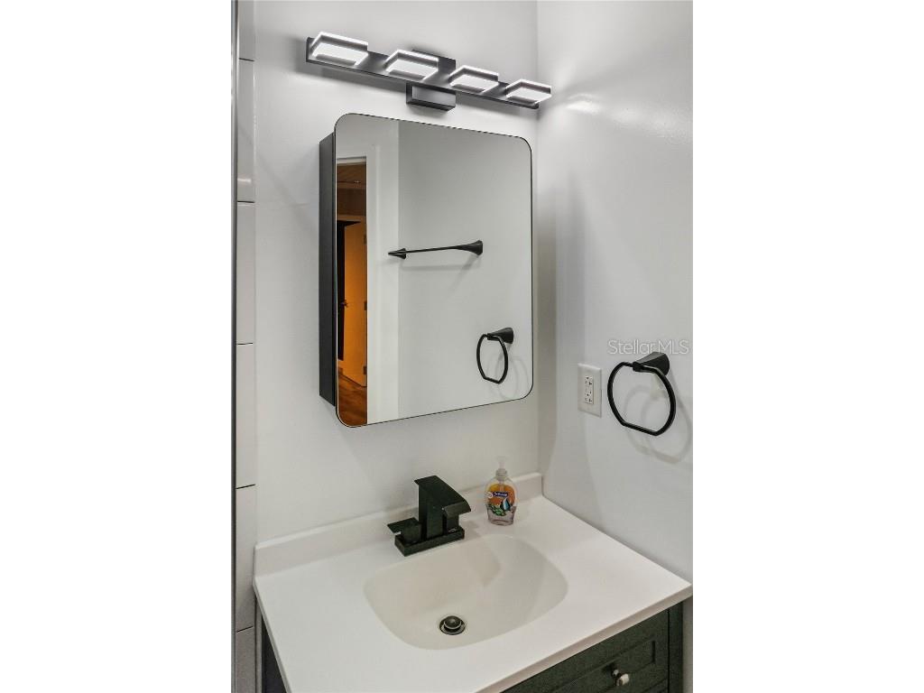 2802 Leaning Oak Lane Lithia FL 33547 TB8450471 image37